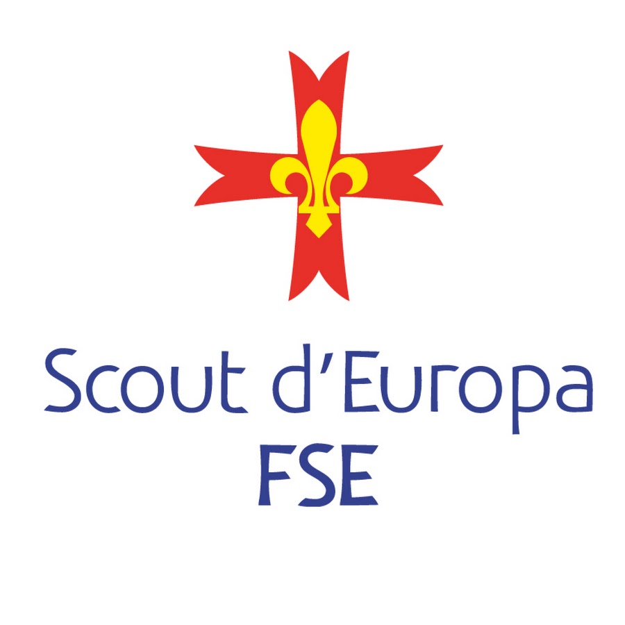 Logo FSE